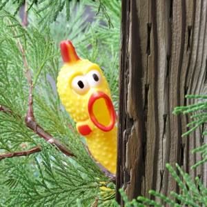 Meet your Posher, Ken